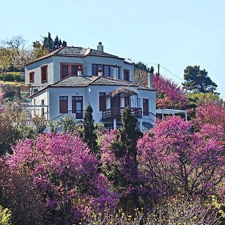Stolios Apartment Skopelos Town Bagian luar foto