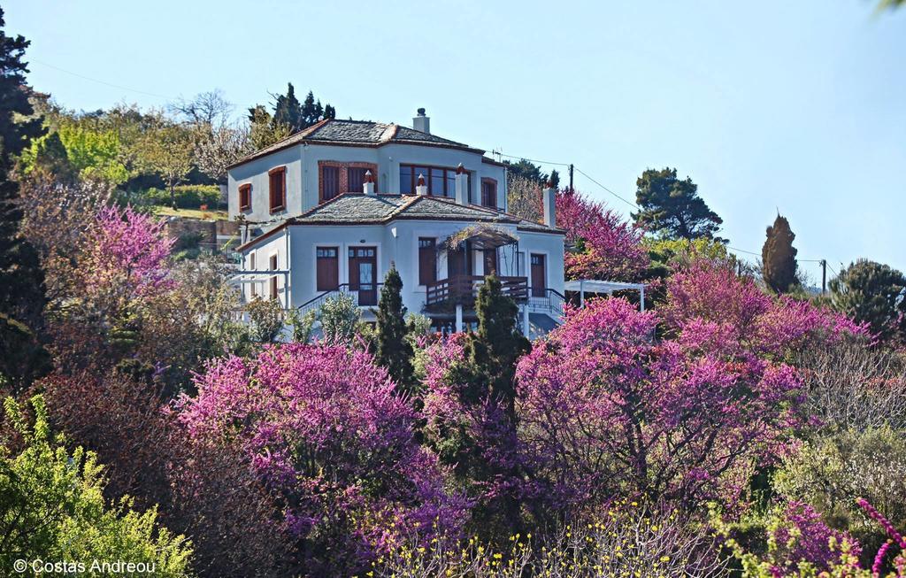 Stolios Apartment Skopelos Town Bagian luar foto